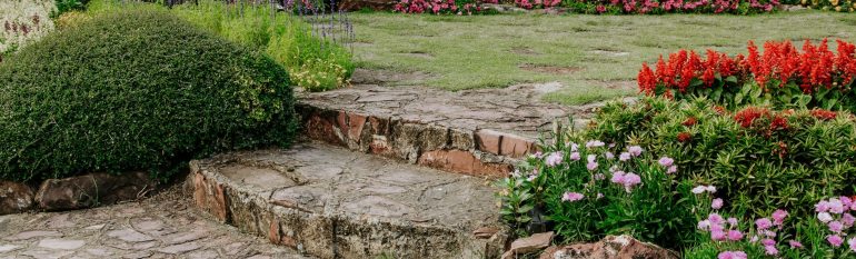 colorful-flower-garden