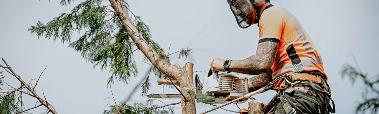 Professionnel de l'élagage en action avec une tronçonneuse, effectuant un élagage sécurisé d'un arbre à Tours